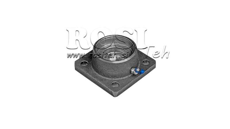 BALL Φ 55 WITH FLANGE