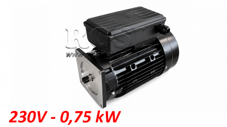 MOTORE DI RICAMBIO PER L'UNITA IDRAULICA 230V 0,75kW