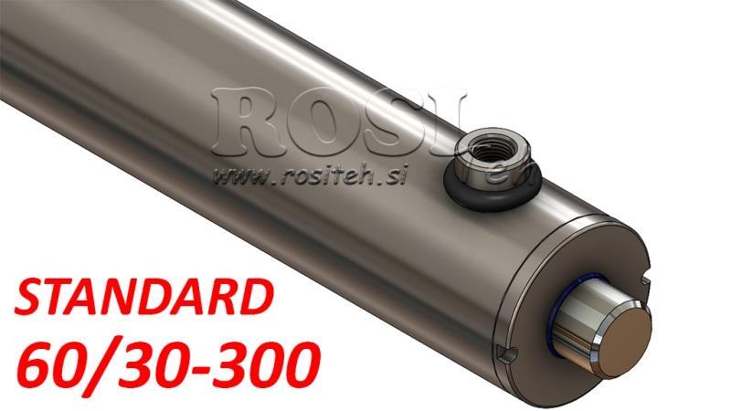 HÜDRAULILINE SILINDER STANDARD 60/30-300