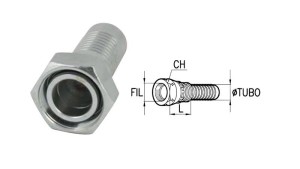 FEMALE-DKOS-CONNECTIONS