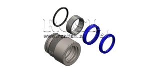 SEALS-FOR-SINGLE-ACTING-CYLINDERS