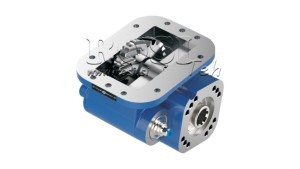 SCACCIARE-ESPULSIONE