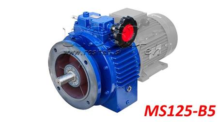 RIDUTTORE VARIABILE UDL PER MOTORE ELETTRICO MS125-B5