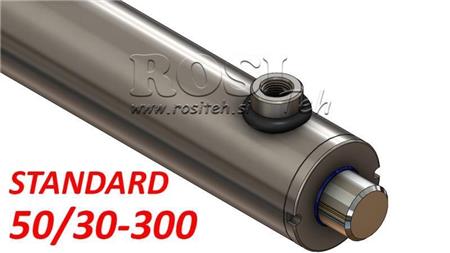 HYDRAULIC CYLINDER STANDARD 50/30-300