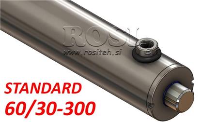 HÜDRAULILINE SILINDER STANDARD 60/30-300